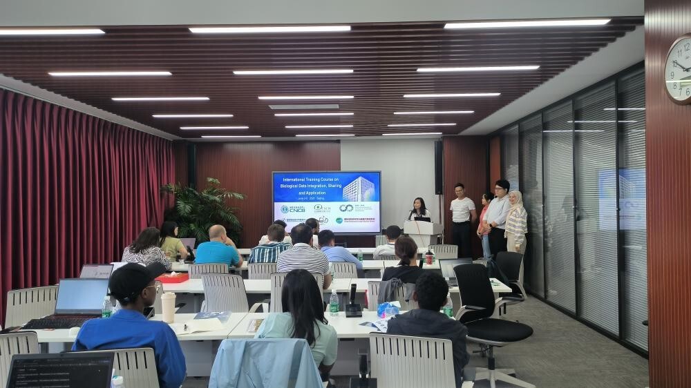 W020260612533840906715 GA黄金甲·体育(中国)官方网站