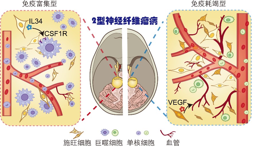 GA黄金甲·体育(中国)官方网站