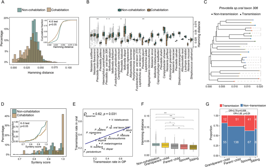 GA黄金甲·体育(中国)官方网站