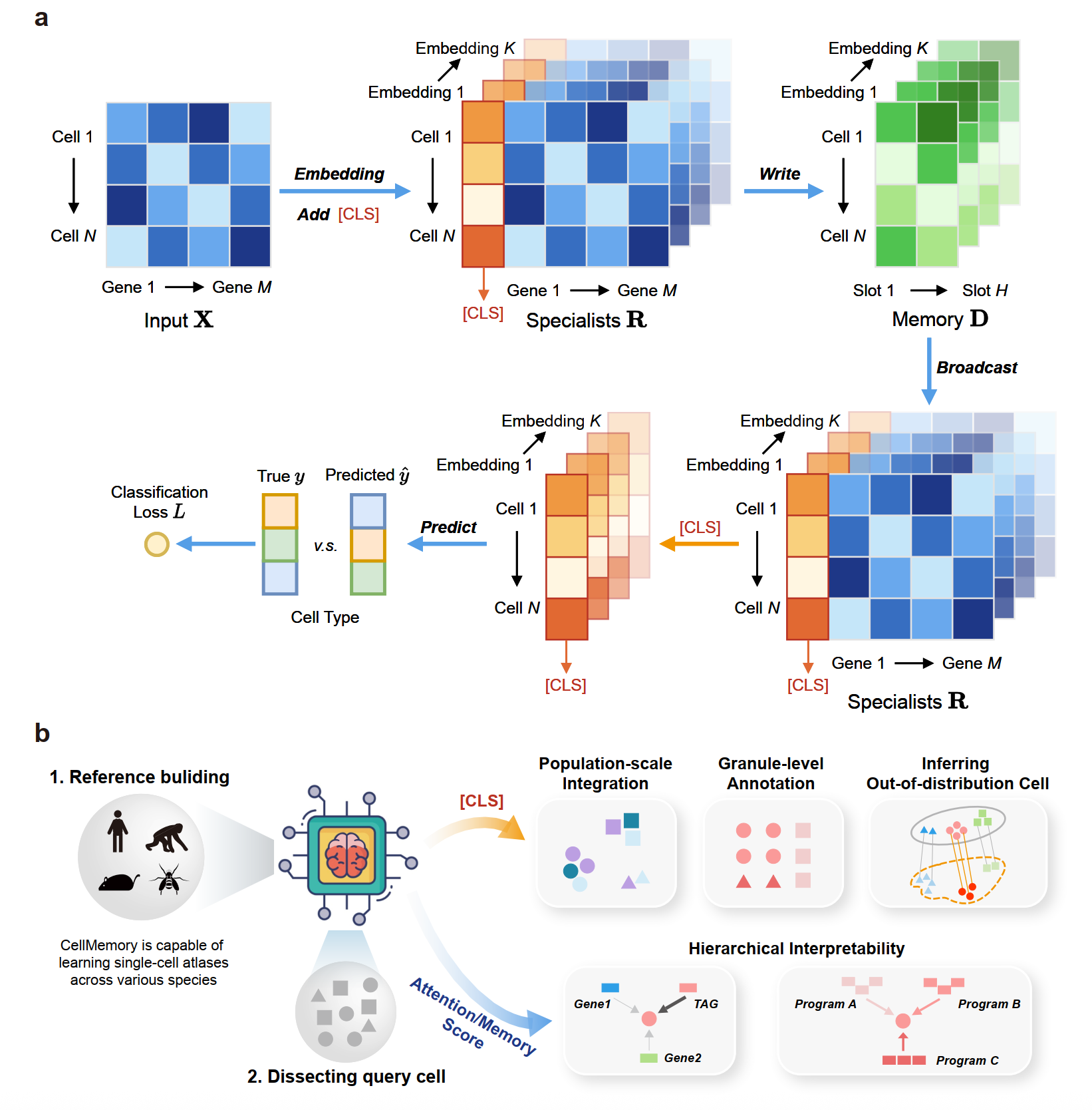 GA黄金甲·体育(中国)官方网站