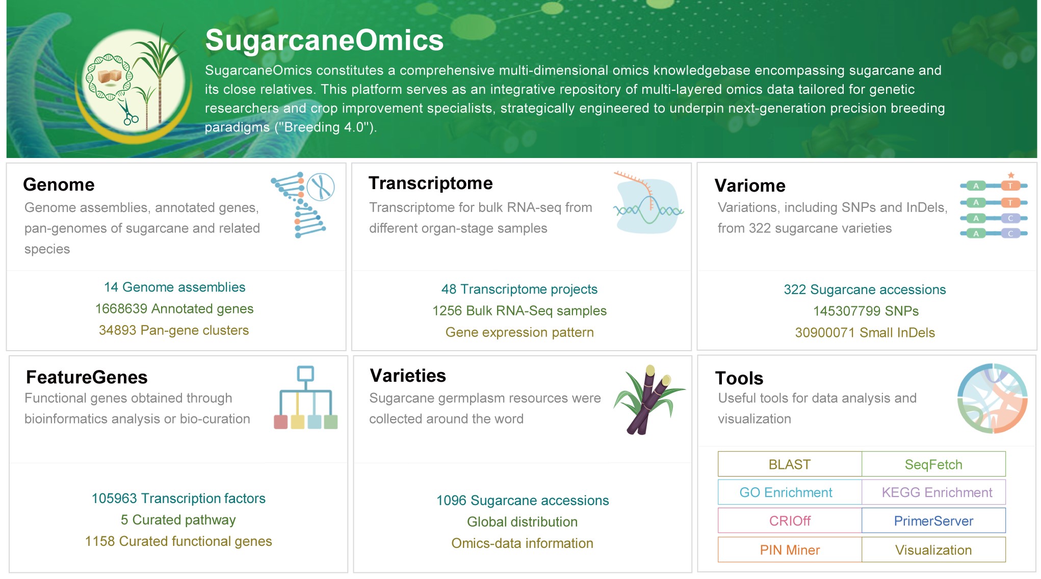 GA黄金甲·体育(中国)官方网站