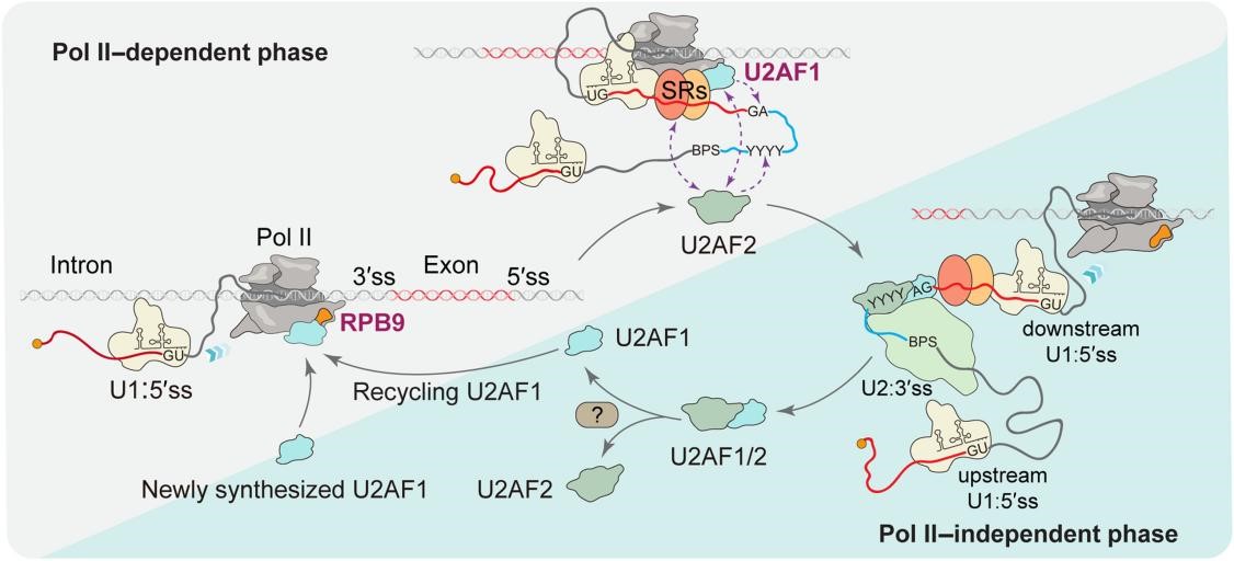 GA黄金甲·体育(中国)官方网站