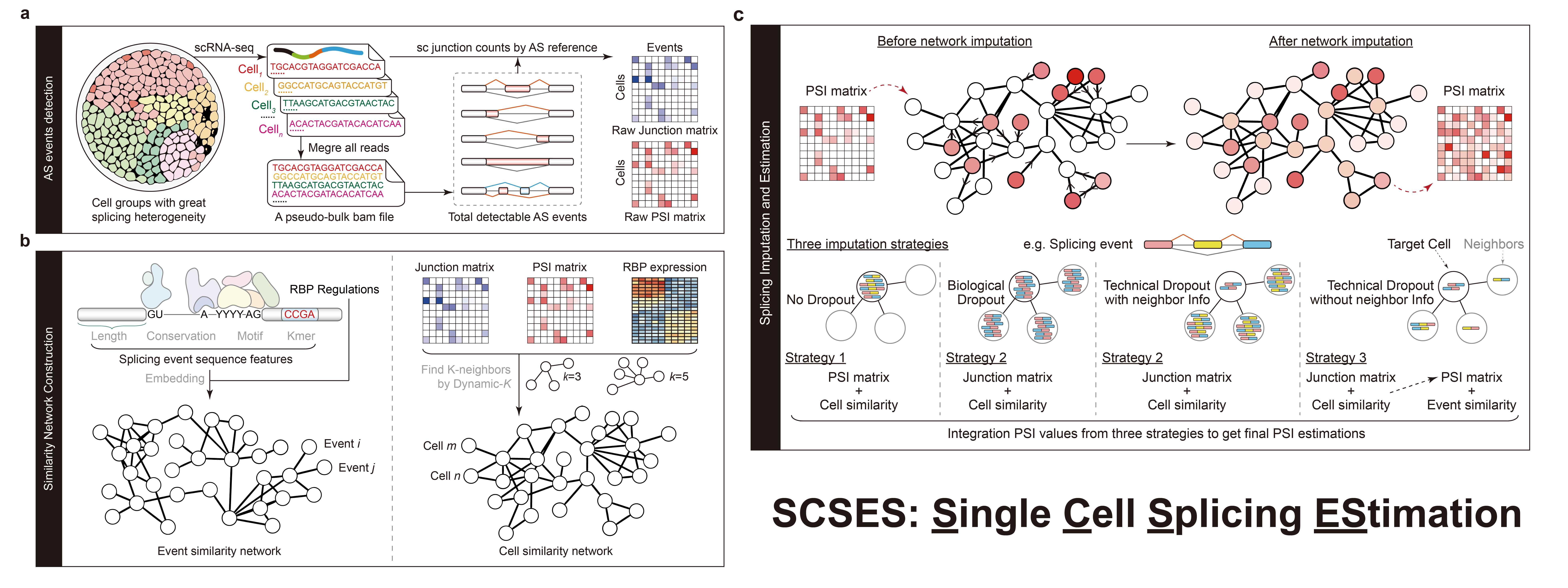 GA黄金甲·体育(中国)官方网站