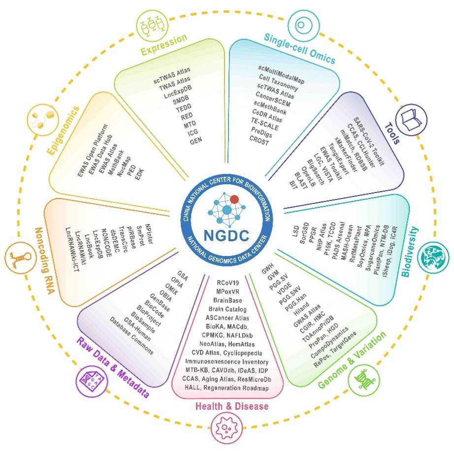GA黄金甲·体育(中国)官方网站