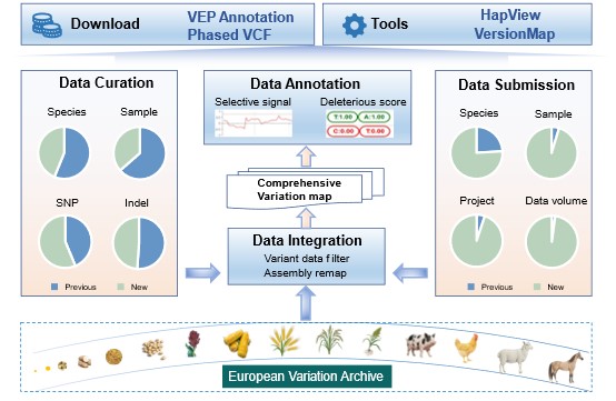 GA黄金甲·体育(中国)官方网站