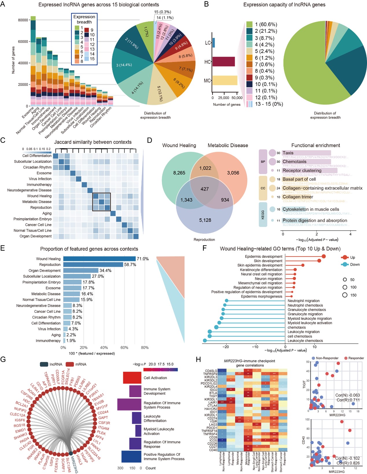 GA黄金甲·体育(中国)官方网站