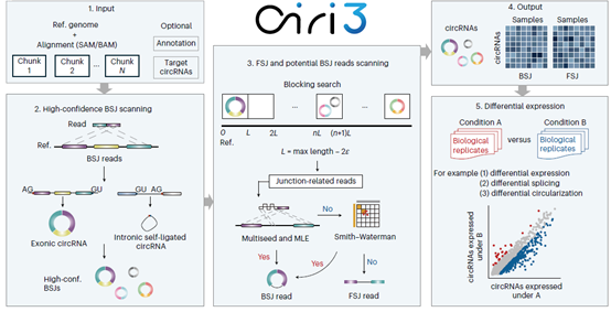GA黄金甲·体育(中国)官方网站