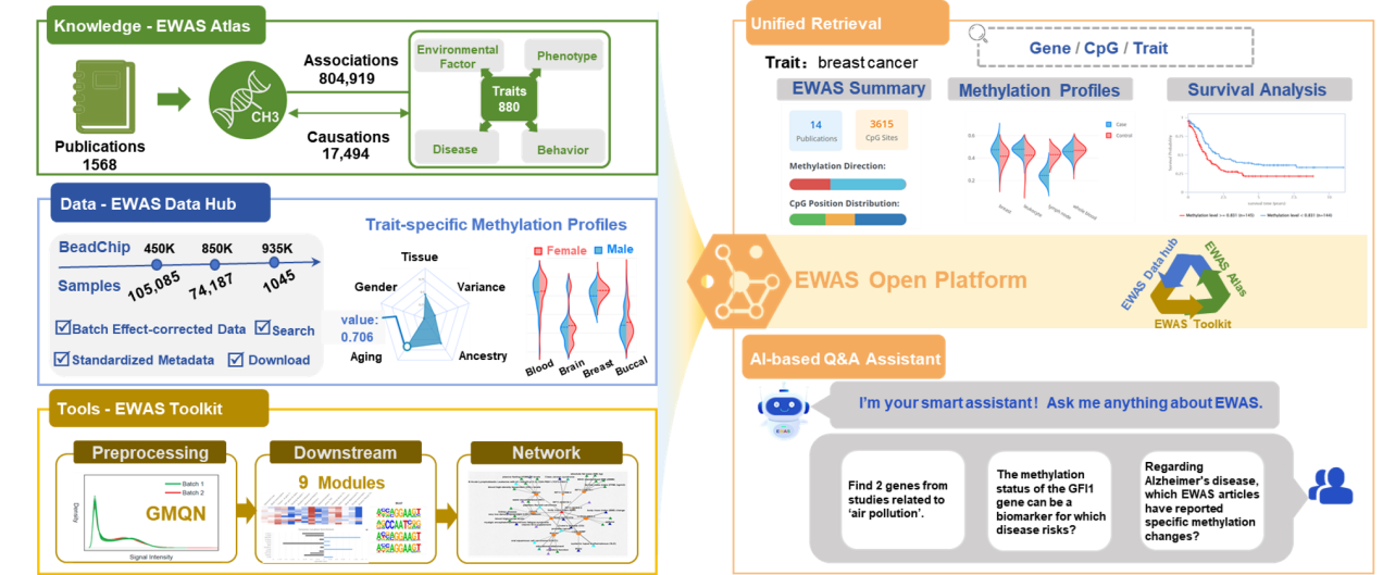 GA黄金甲·体育(中国)官方网站