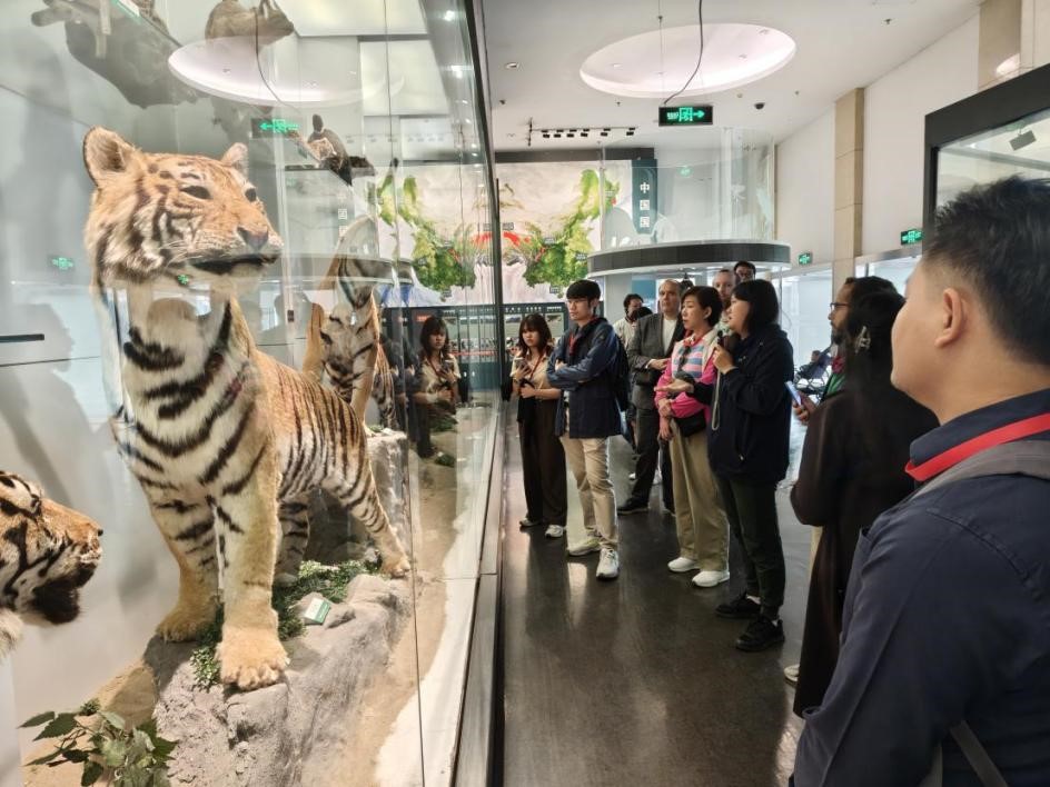 GA黄金甲·体育(中国)官方网站