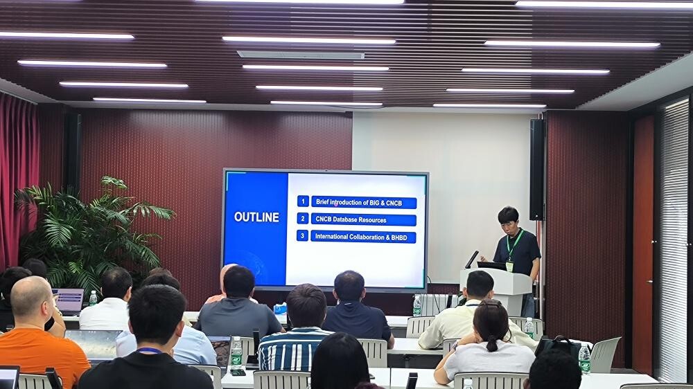 W020260612533840208617 GA黄金甲·体育(中国)官方网站