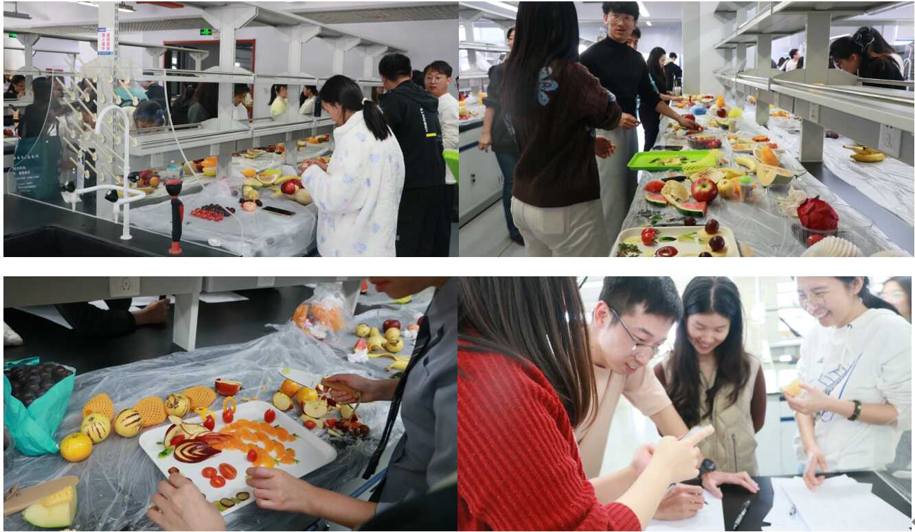 GA黄金甲·体育(中国)官方网站